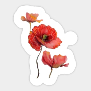 poppy Sticker